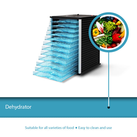 FIND THE BEST FOOD DEHYDRATOR IN YOUR BUDGET