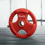 Everfit Weight Plates Standard 15kg Dumbbell Barbell Plate Weight Lifting Home Gym Red - Close-Up Angle