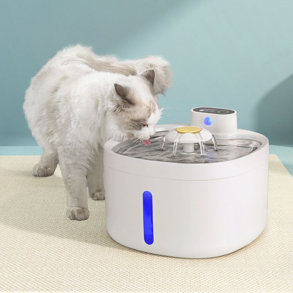 i.Pet Automatic Pet Feeder with Motion Sensor and Filtration System for Dogs and Cats - 2.6L Capacity