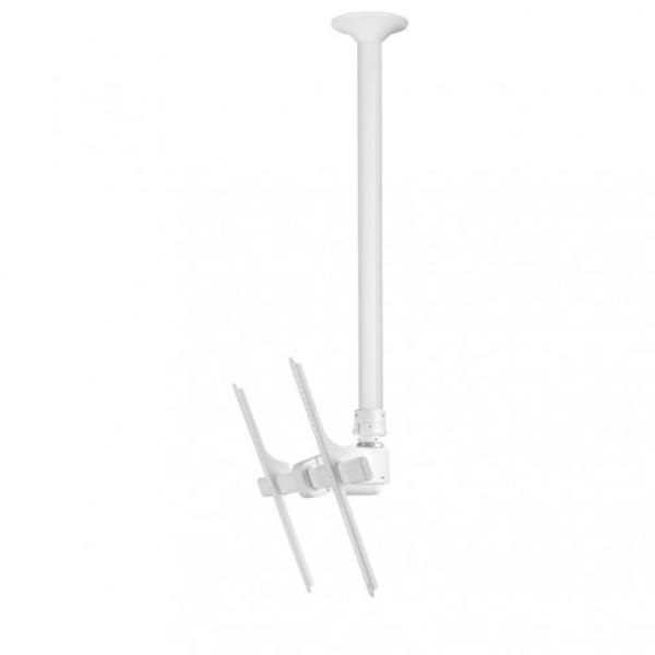 Atdec Telehook 30-70 Ceiling Mount Tilt Long - White