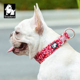 Poppy Red Floral Dog Collar XS