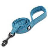 Reflective Nylon Dog Leash 2m Blue XS