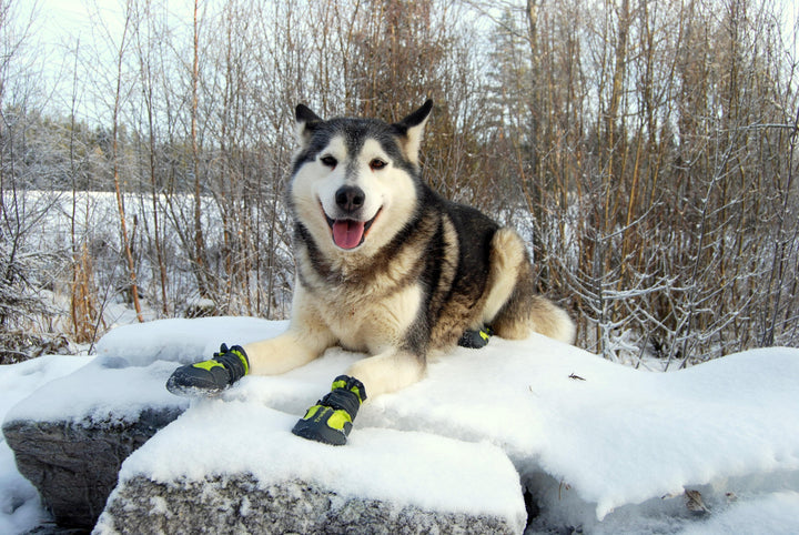 Weatherproof Dog Booties - Black Size 8