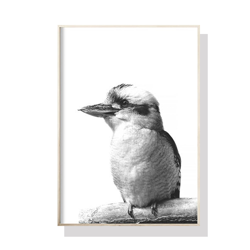 Kookaburra Canvas Wall Art with Black Frame - 80cm x 120cm