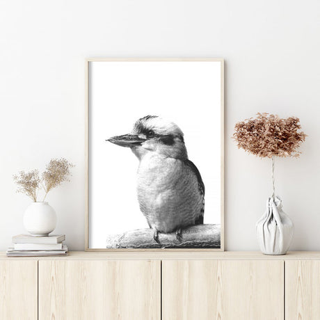 Kookaburra Canvas Art with Black Frame - 90cm x 135cm