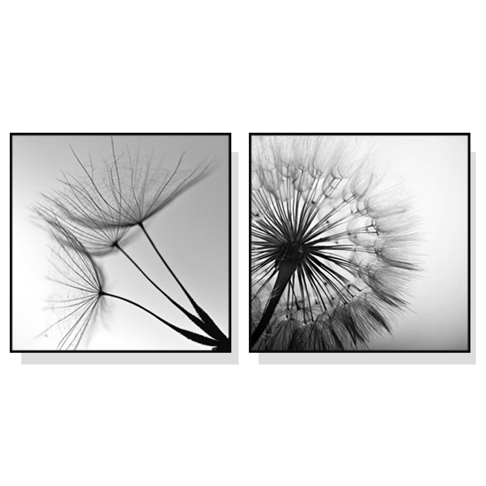 Black and White Dandelion Canvas Art Set - 40cm x 40cm Framed Prints