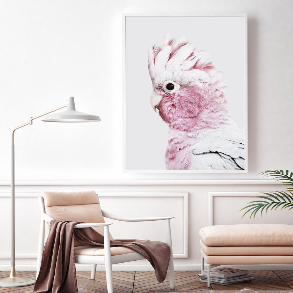 Framed Pink Galah Canvas Art 90x135cm with White Floating Frame