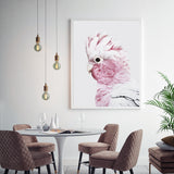 Framed Pink Galah Canvas Art 90x135cm with White Floating Frame