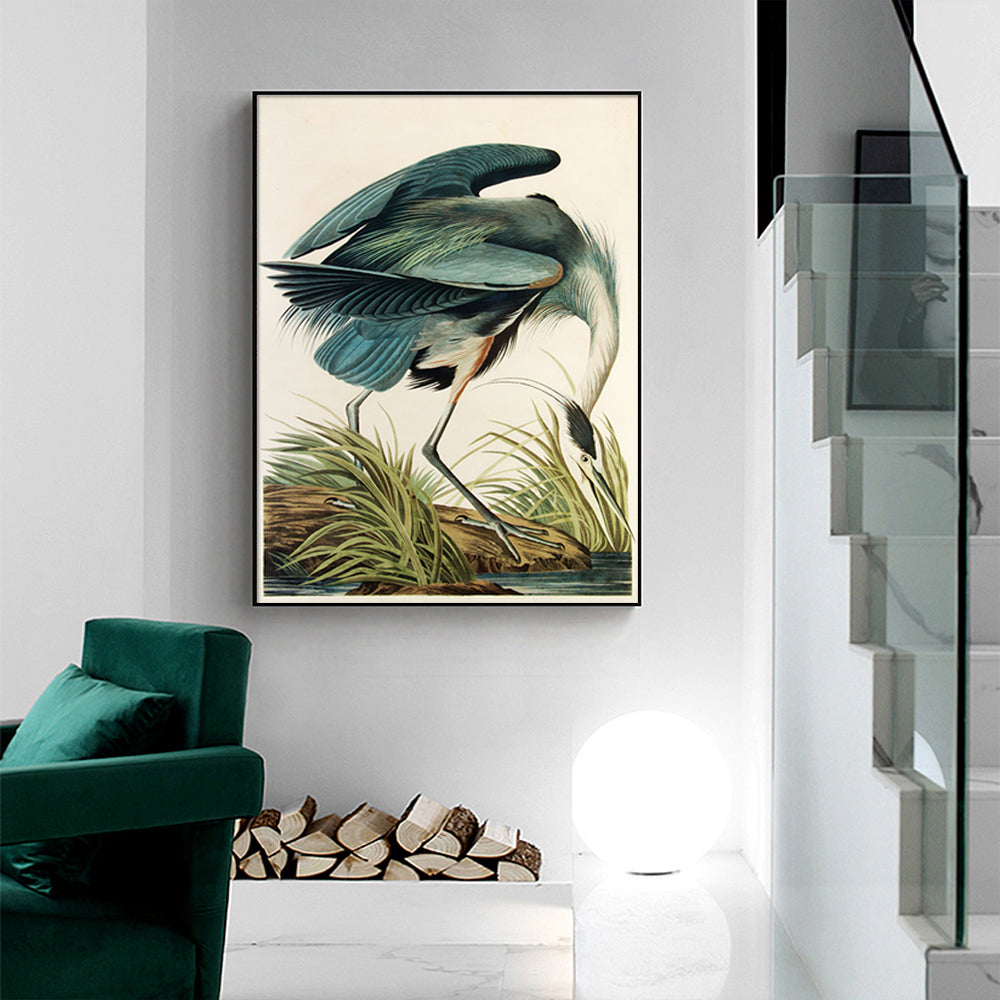 Audubon Great Blue Heron Canvas Print 90cm x 135cm with Black Floating Frame