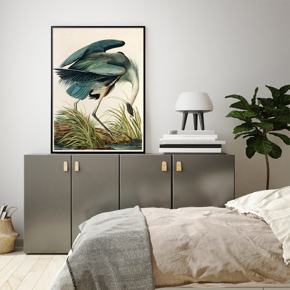 Audubon Great Blue Heron Canvas Print 90cm x 135cm with Black Floating Frame