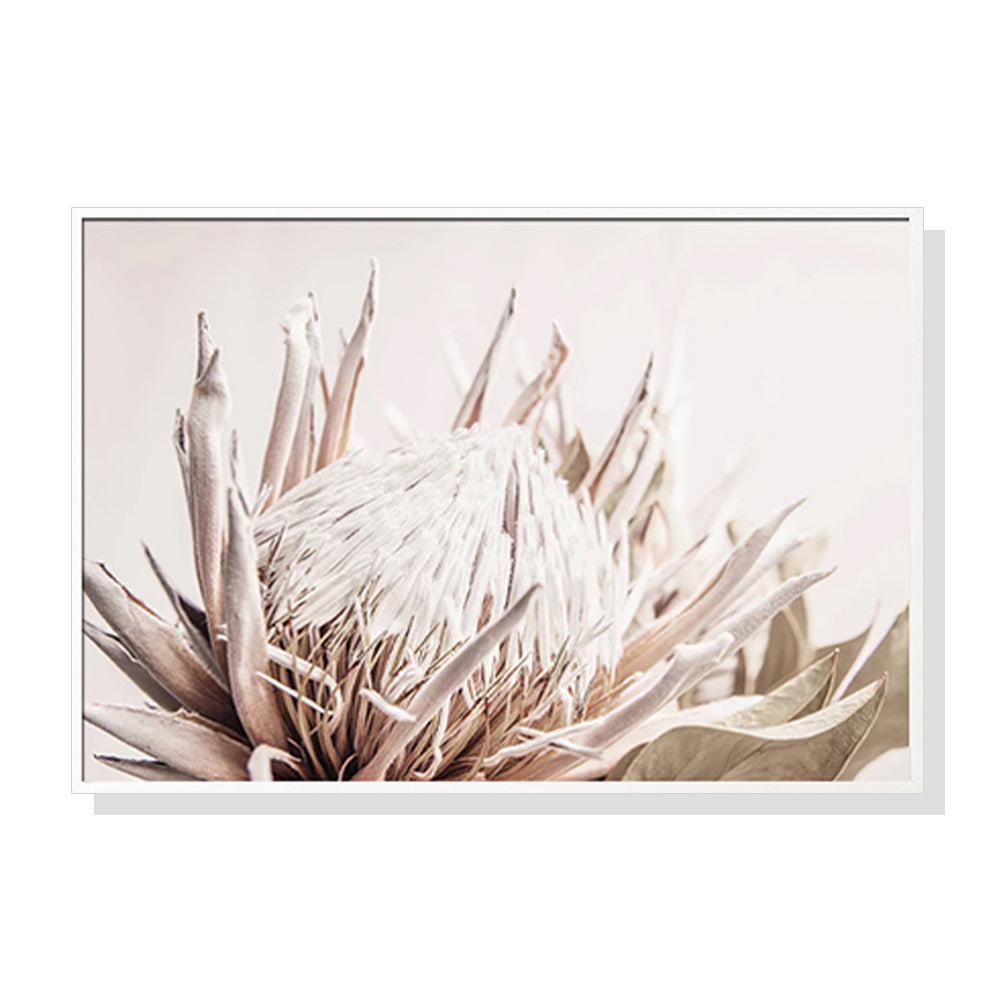 Framed Canvas Wall Art - Pure Protea II in White Frame (90cm x 135cm)