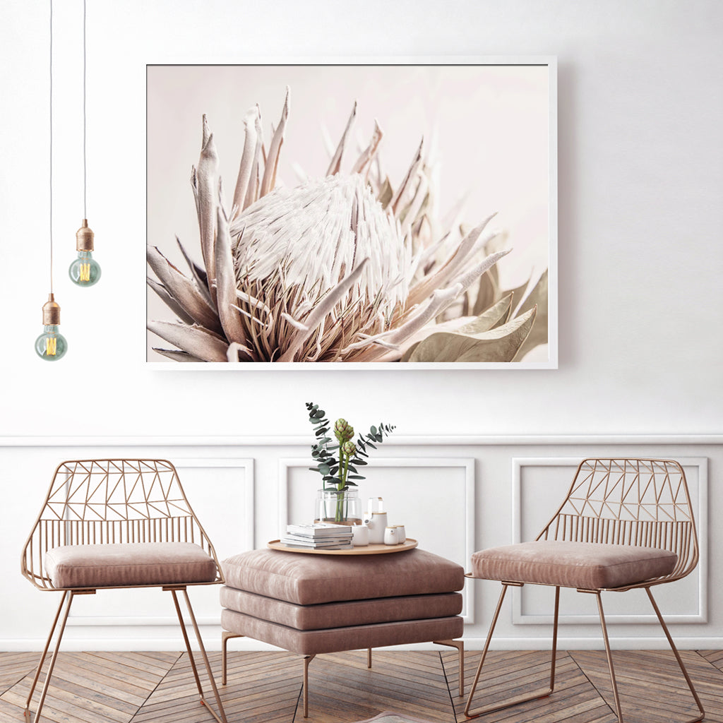 Framed Canvas Wall Art - Pure Protea II in White Frame (90cm x 135cm)