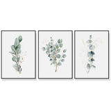 Eucalyptus Plant Canvas Art Set - 80cm x 120cm with Black Frame (3 Pieces)