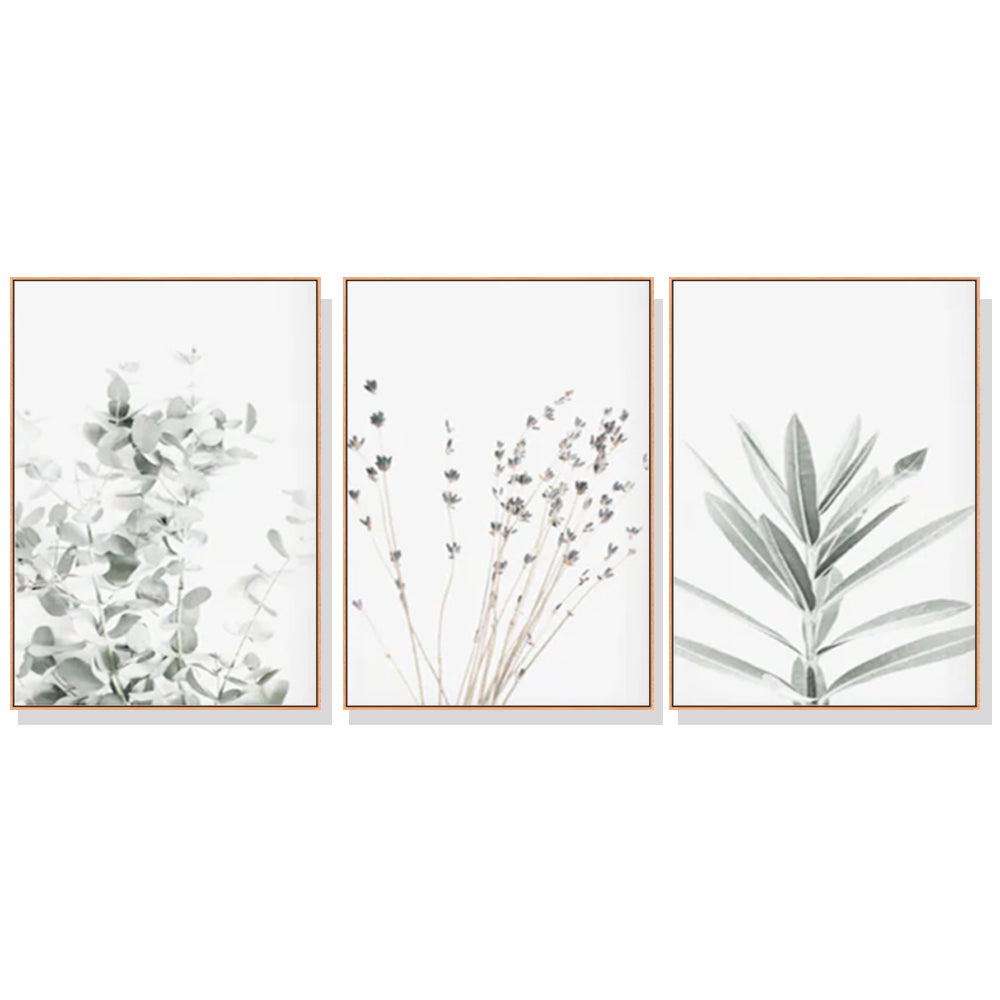 Lavender Eucalyptus Canvas Wall Art Set - 70cm x 100cm with Wooden Frame