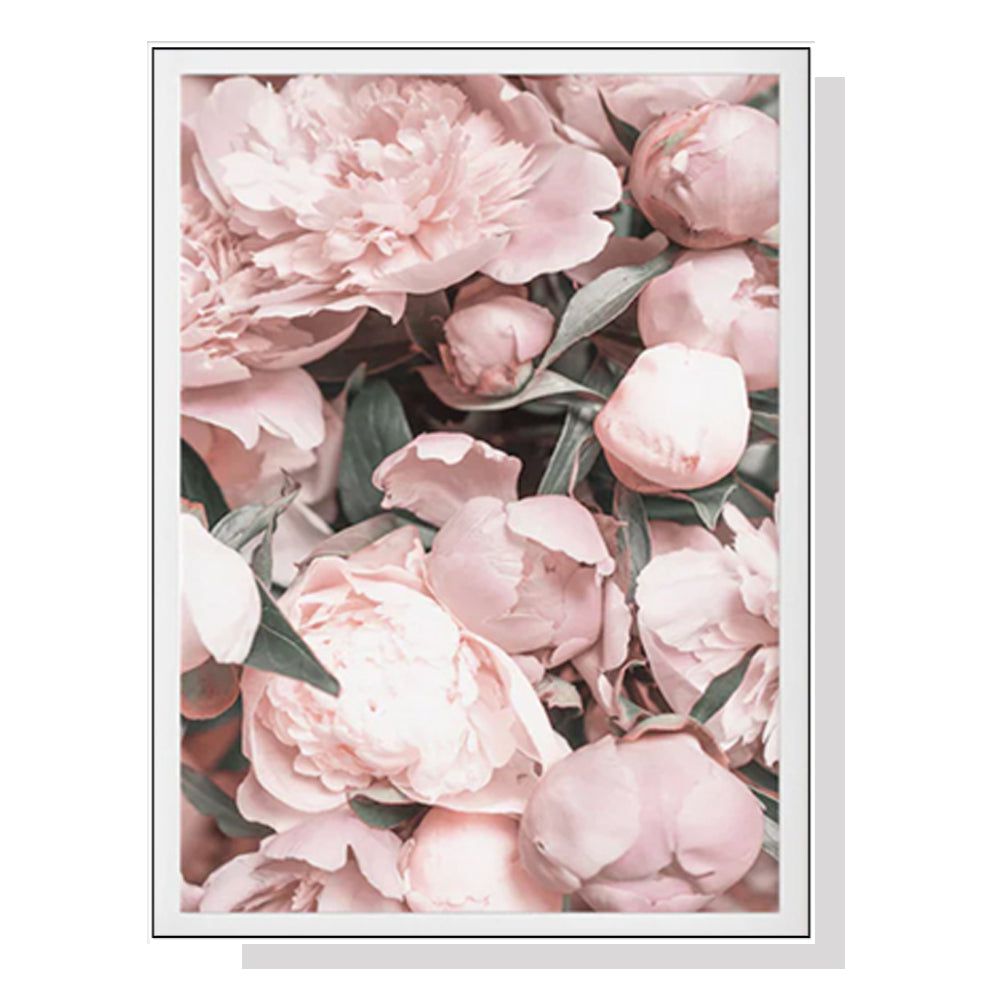 Peony Elegance: Framed Canvas Art 90cm x 135cm