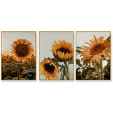 Elegant Sunflower Canvas Wall Art Set - 70cm x 100cm with Gold Frame (3 Pieces)