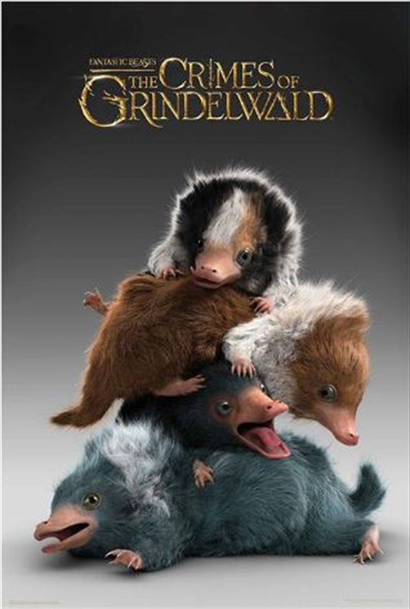 Fantastic Beasts 2 - Baby Nifflers Poster