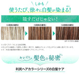 [6-PACK] Rishiri Kombu White Hair Hair Dye Stick 20g Dark Brown