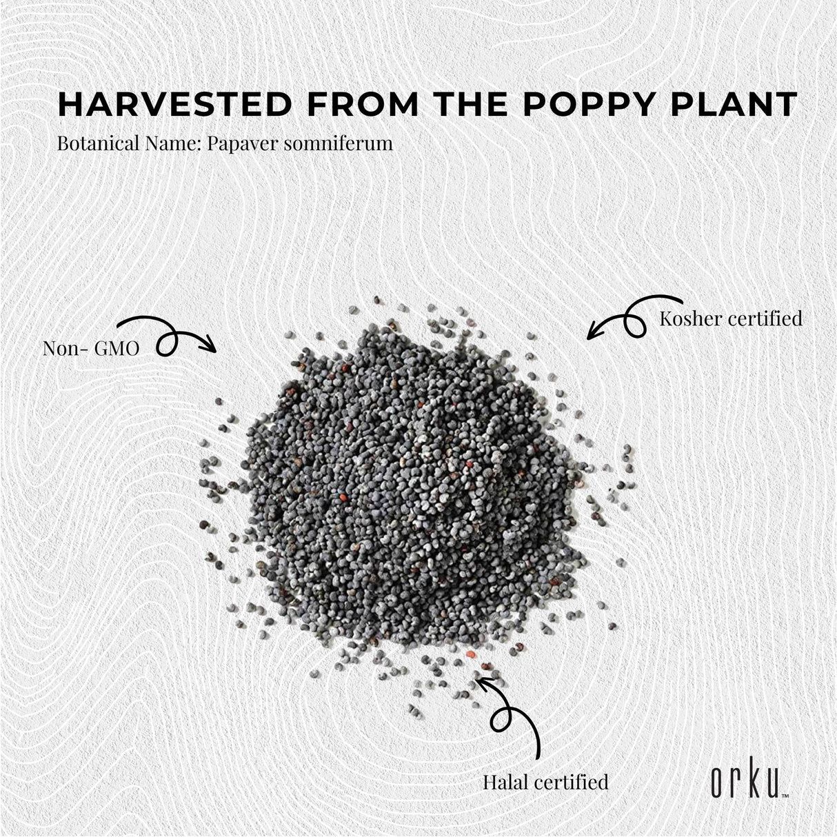 1Kg Poppy Seeds Unwashed Papaver Somniferum For Baking and Decoratingg