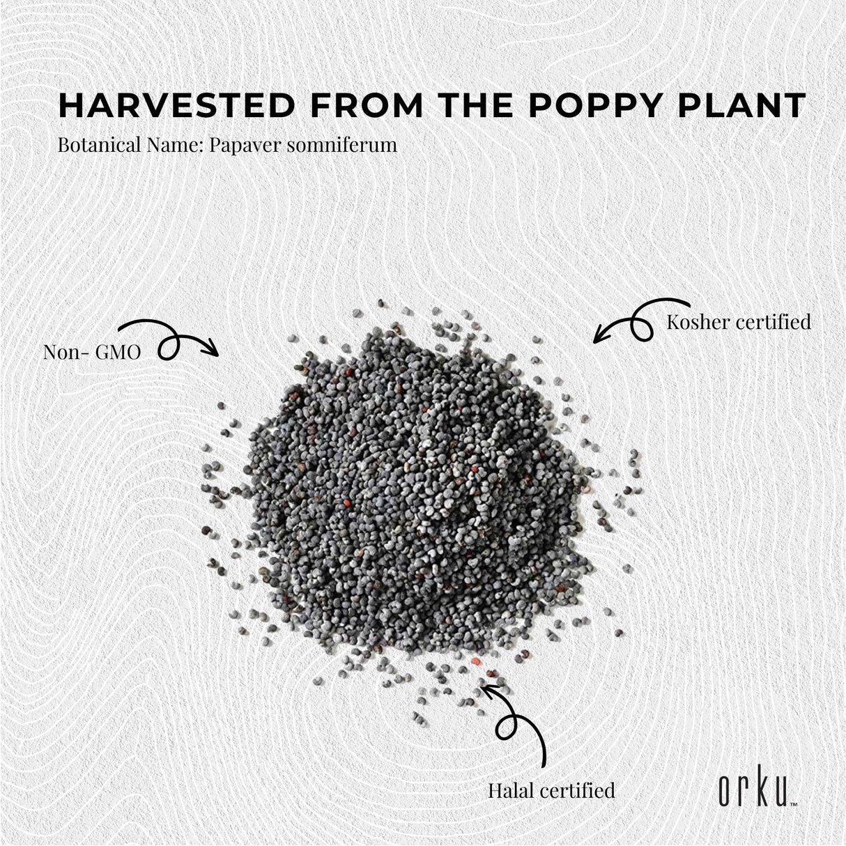 20Kg Poppy Seeds Unwashed Papaver Somniferum For Baking and Decorating