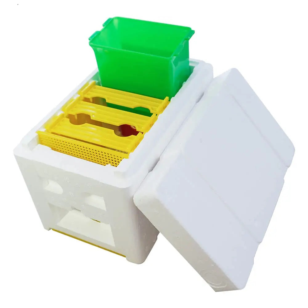 Mini Mating Box Queen Bee Rearing Plastic Styrene Foam Hive Harvest Copulation