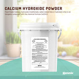 600g Food Grade Calcium Hydroxide Powder Tub FCC Hydrated Slaked Pickling Lime