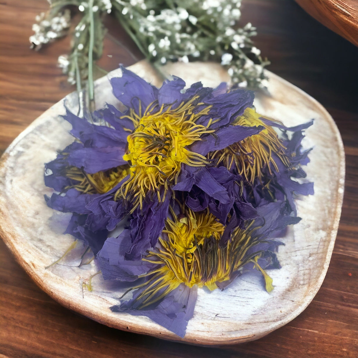 Dried Blue Lotus Flowers - Premium Whole Nymphaea Caerulea Petals from Sri Lanka