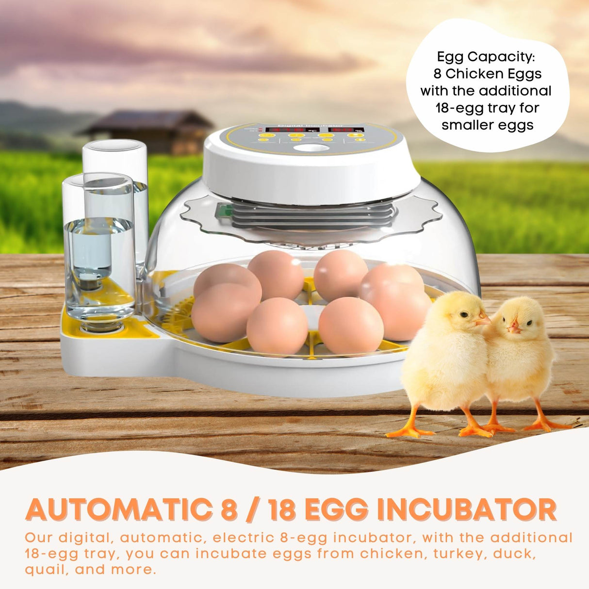 Automatic 8 / 18 Egg Incubator - Electrical Turning Chicken Quail Duck Hatching