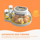 Automatic 8 / 18 Egg Incubator - Electrical Turning Chicken Quail Duck Hatching