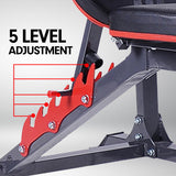 Powertrain Adjustable Weight Bench Home Gym Bench Press - 301 - 45-Degree Angle