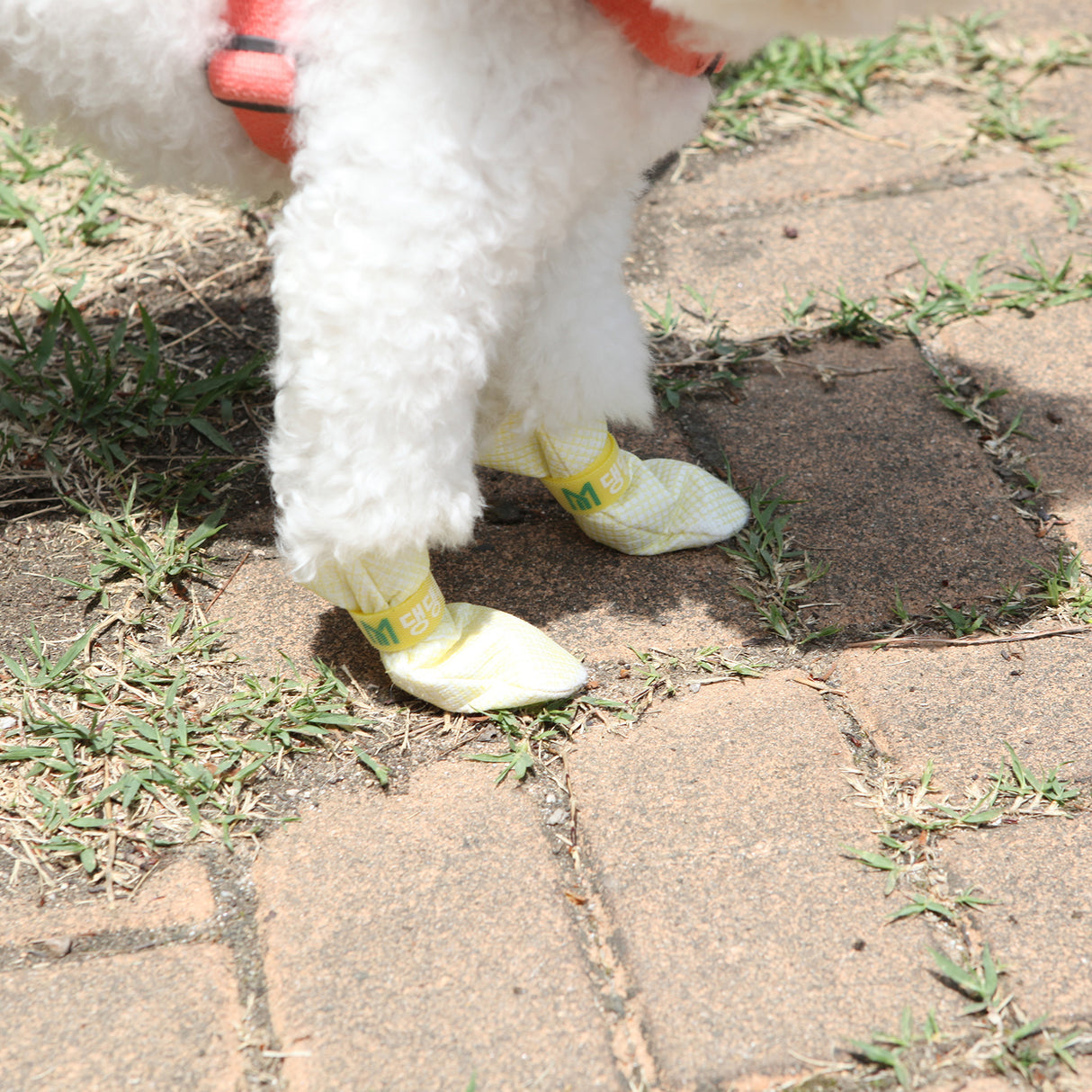 28pc X Dog Shoes Waterproof Disposable Boots Anti-Slip Pet Socks M PINK