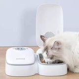 2 Meal Automatic Pet Food Feeder Timer for Dogs, Puppies & Cats - Extra Image