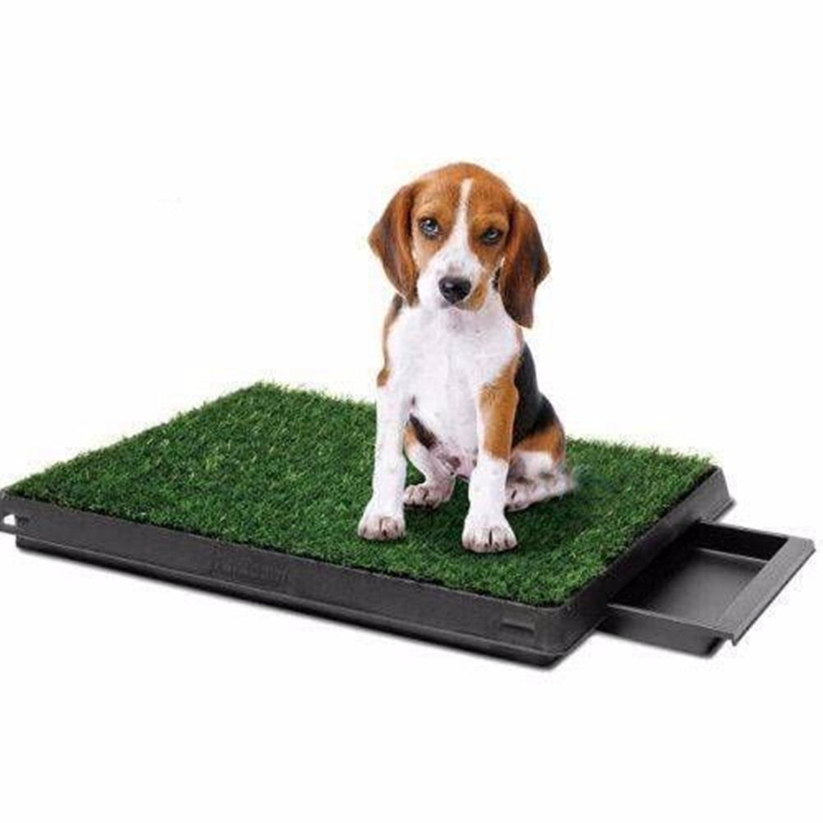 YES4PETS Indoor Dog Puppy Toilet Grass Potty Training Mat Loo Pad pad with 1 grass