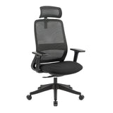 Carlie High Back Molded Foam Seat Ergonomic Office Chair In Black