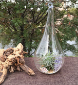 25 Pack of Hanging Clear Glass Tear Drop Candle Holders - 12.5cm Tall - Ideal for Terrariums and Mini Garden Decor