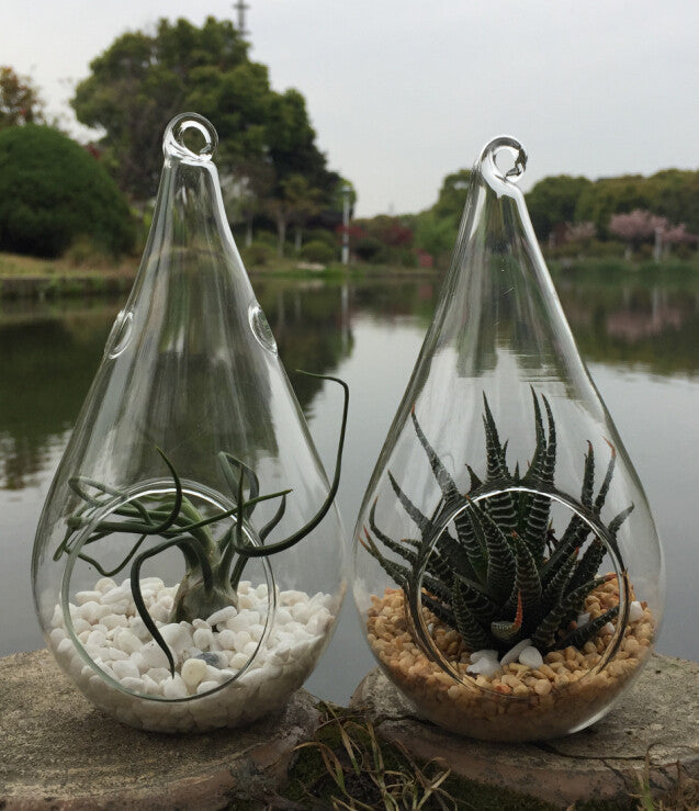 25 Pack of Hanging Clear Glass Tear Drop Candle Holders - 12.5cm Tall - Ideal for Terrariums and Mini Garden Decor