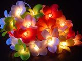 20 LED Tropical Frangipani Flower String Lights – Battery-Operated Fairy Lights for Home, Wedding, and Party Decoration