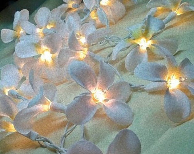 20 LED White Frangipani Flower Fairy Lights - Battery-Powered String Lights for Home, Wedding, Beach Party, and Outdoor Decor