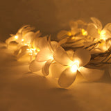 20 LED White Frangipani Flower Fairy Lights - Battery-Powered String Lights for Home, Wedding, Beach Party, and Outdoor Decor