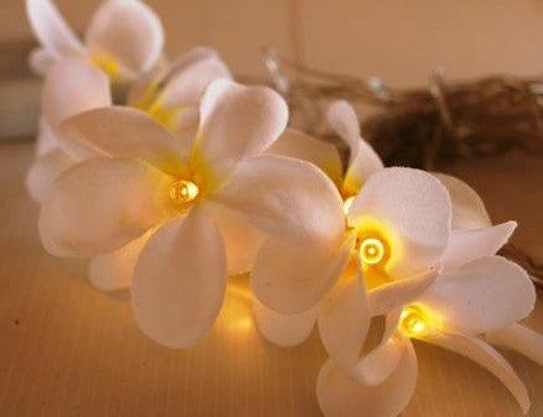 20 LED White Frangipani Flower Fairy Lights - Battery-Powered String Lights for Home, Wedding, Beach Party, and Outdoor Decor