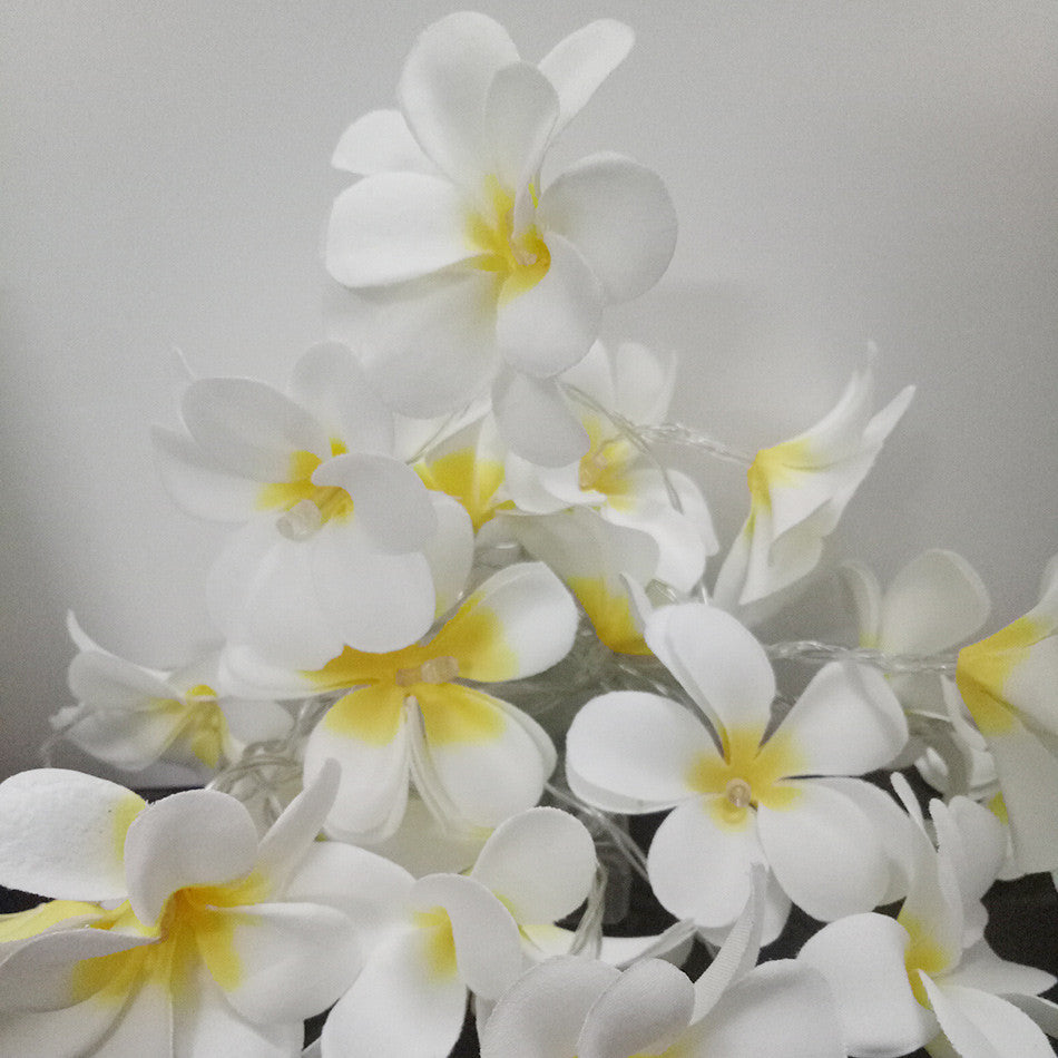 20 LED White Frangipani Flower Fairy Lights - Battery-Powered String Lights for Home, Wedding, Beach Party, and Outdoor Decor