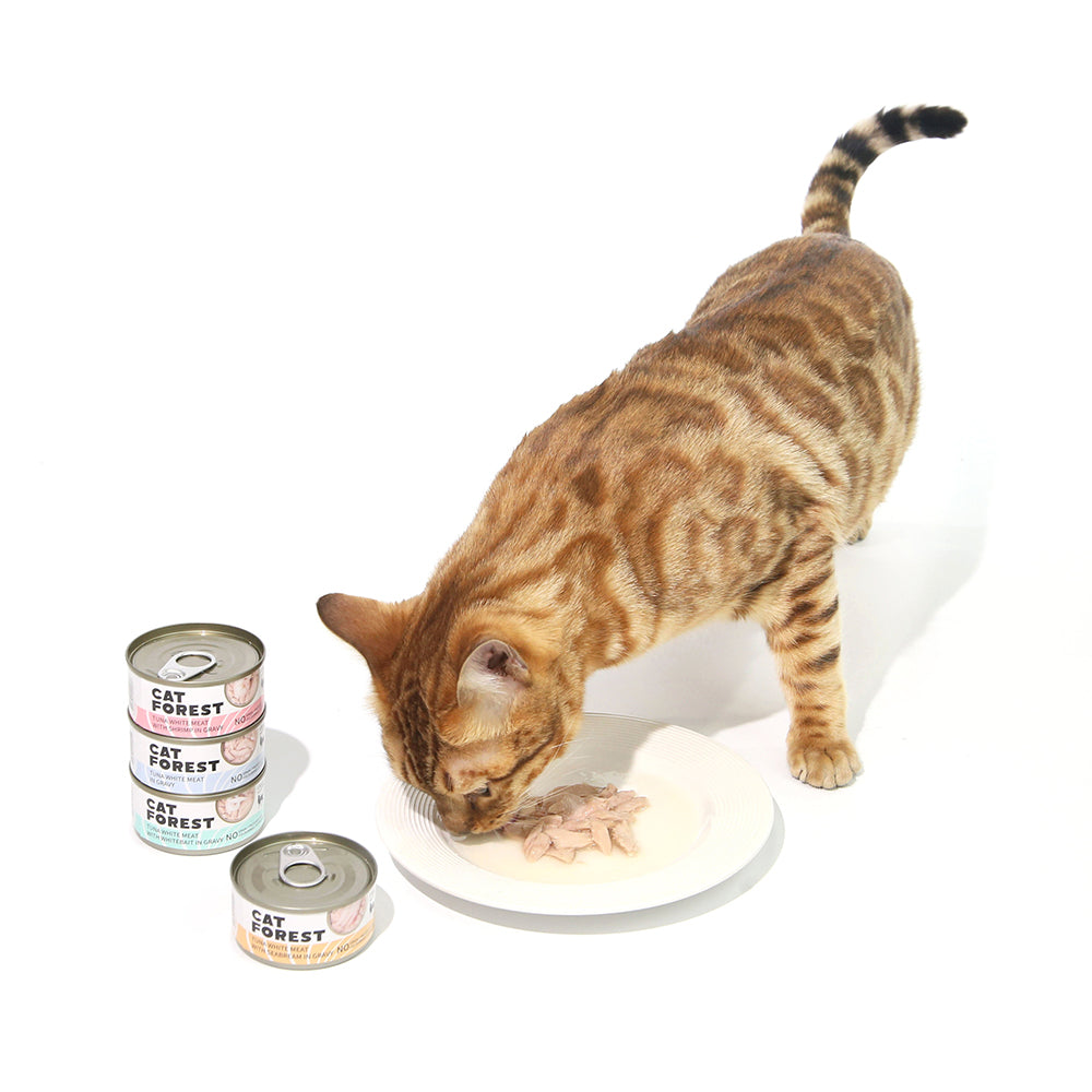 CAT FOREST Classic Tuna White Meat In Gravy Cat Canned Food 85G X 24