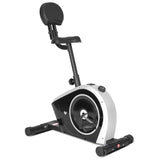 Lifespan Fitness Cyclestation 3 Exercise Bike with ErgoDesk Automatic Standing Desk 150cm in White/Black - Front View