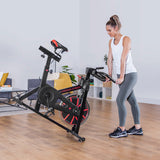 Lifespan Fitness SP-310 M2  Lifespan Fitness Spin Bike - Extra Image