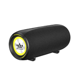 Royqueen 30W Waterproof Bluetooth Speaker with Deep Bass, True Wireless Stereo, and Built-in Mic for Indoor and Outdoor Use