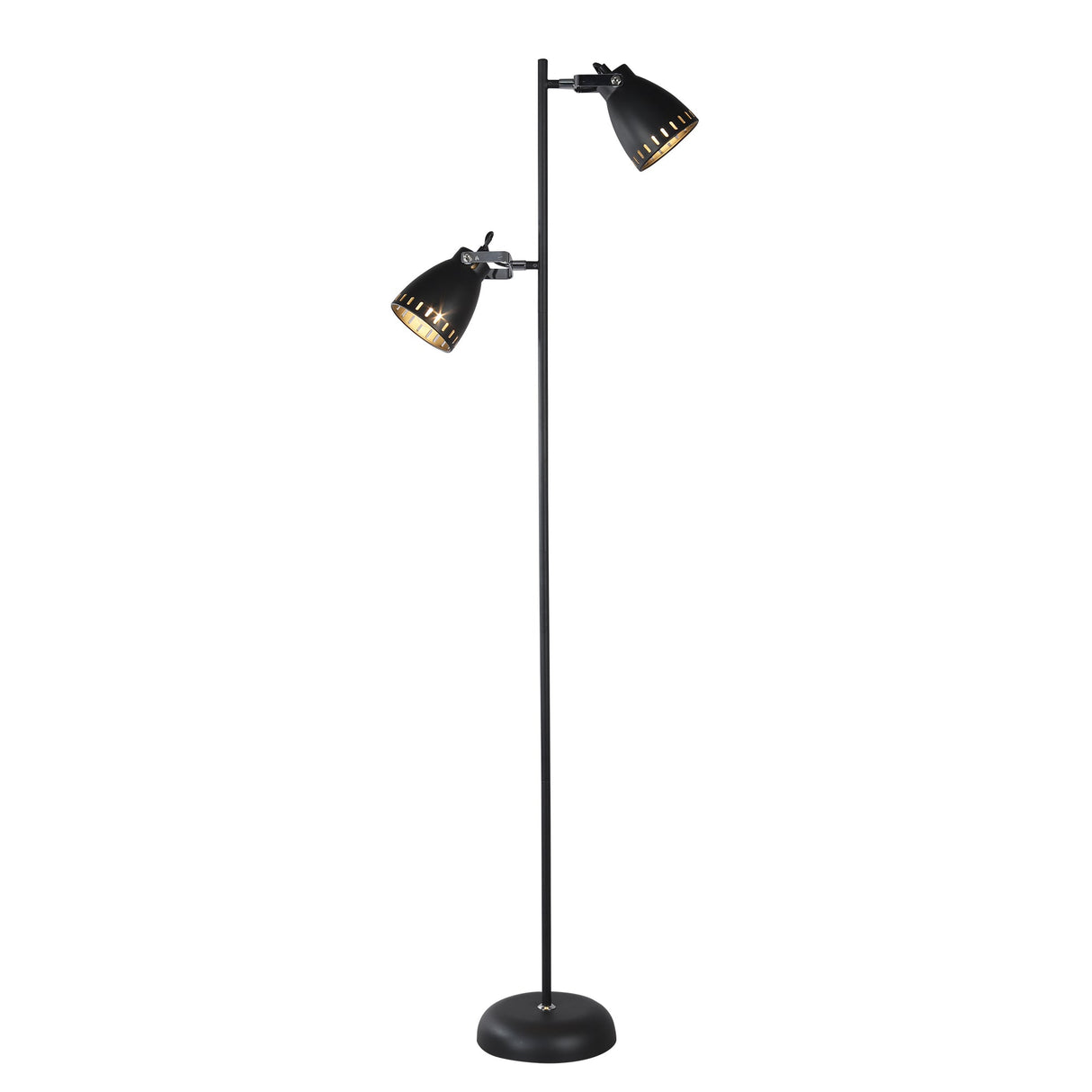 Audrey Adjustable Floor Lamp - Sleek Black Design