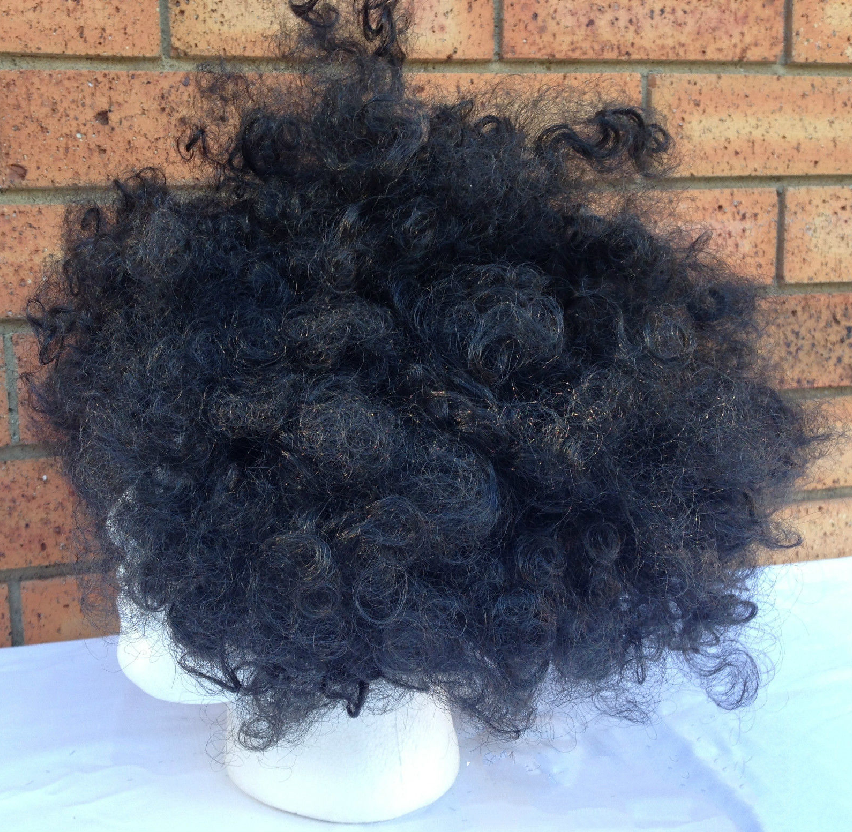 Funky 70s/80s Curly Afro Wig for Men - Ultimate Costume Party Accessory - Black