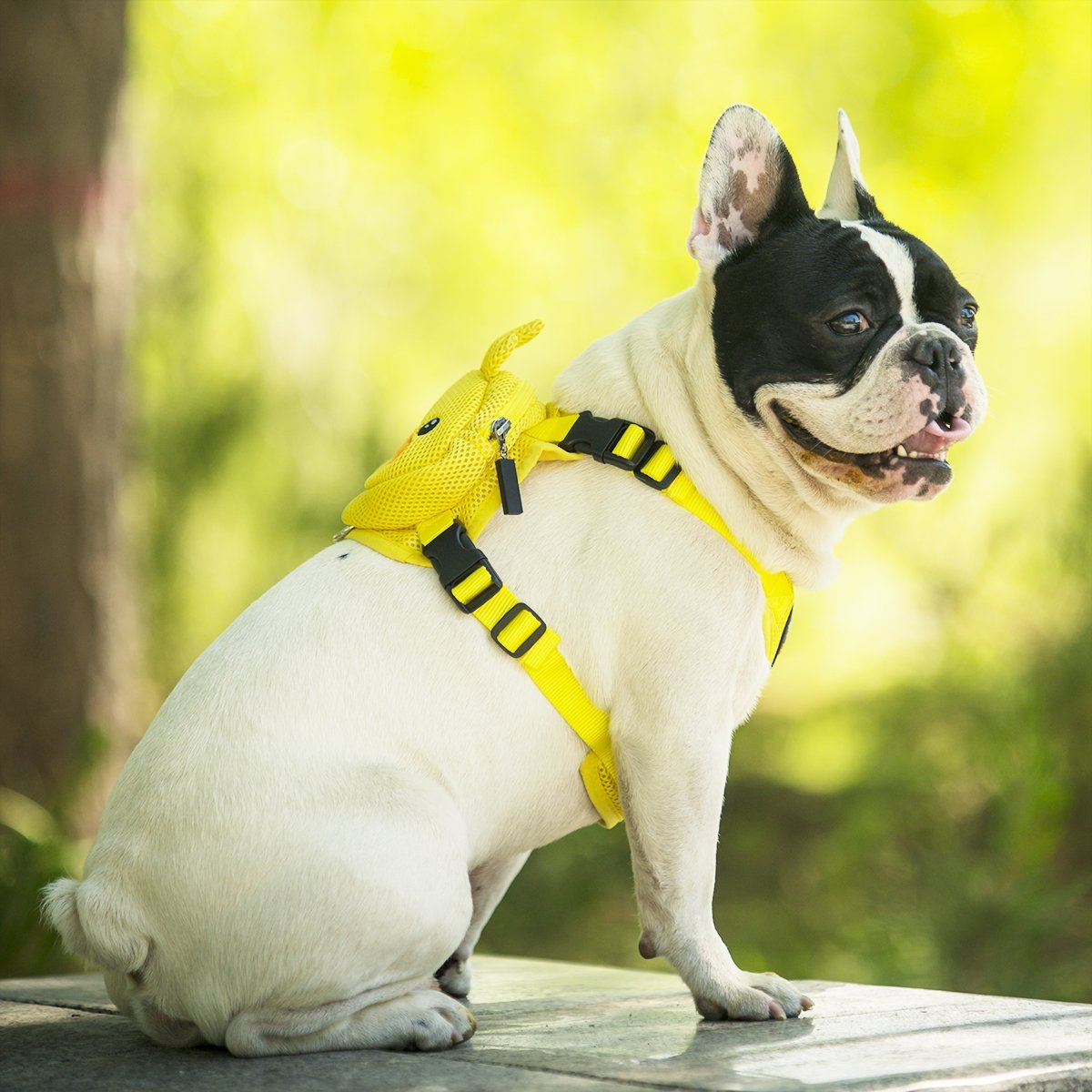 Ondoing Pet Saddle Bag Dog Harness Backpack Hiking Traveling Outdoor Bags Cute Costume (Yellow tiger bag with leash)S