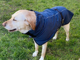 Pet Dog Raincoat Poncho Jacket Windbreaker Waterproof Clothes with Harness Hole-S-Black