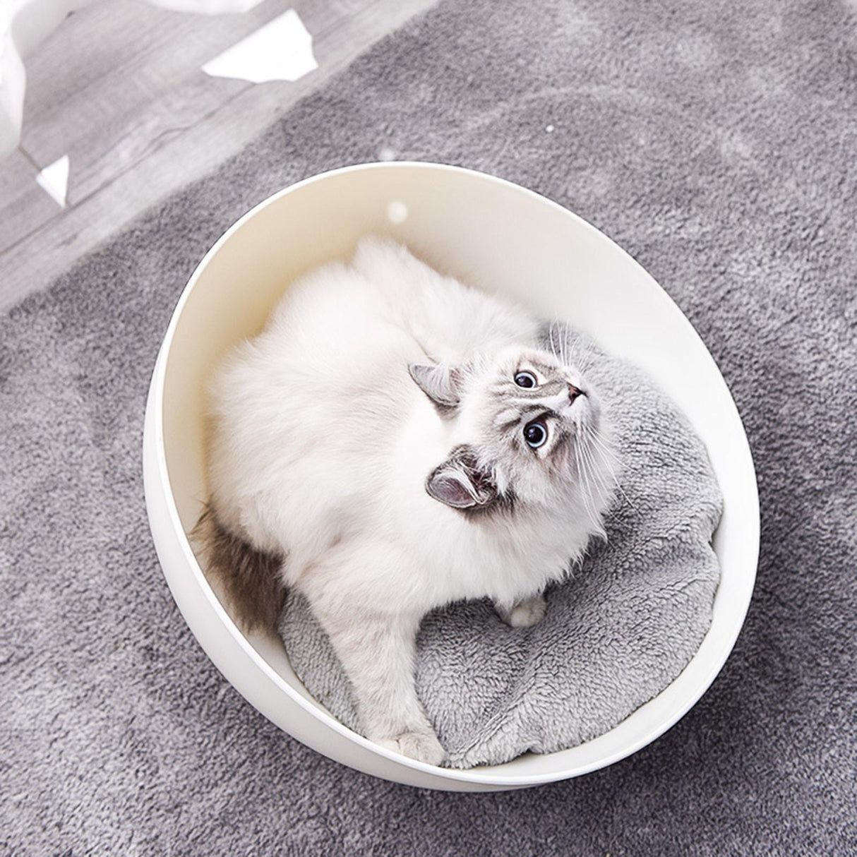 Cozy Modern Cat Sphere Nest Bed